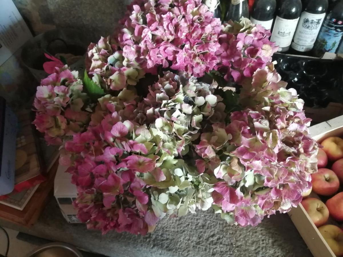 Gite Hydrangea Lanhelin Exterior foto